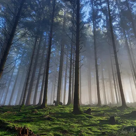 Aux Legendes D Ardenne * Paliseul