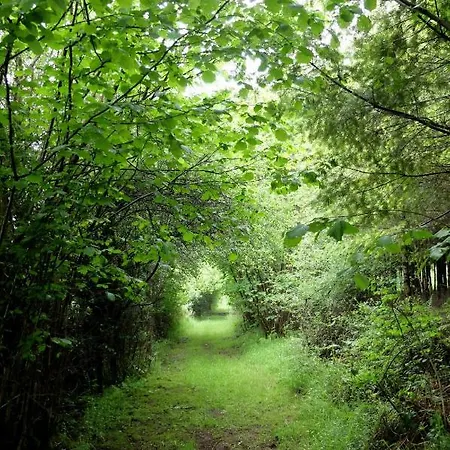 Ferienhaus Aux Legendes D Ardenne